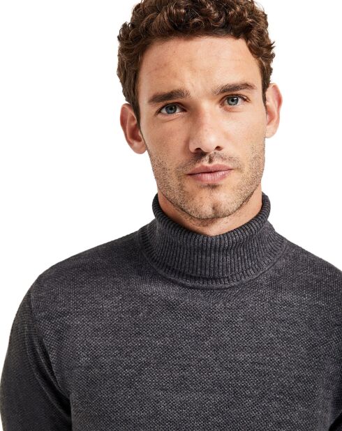 Pull col roulé Max gris