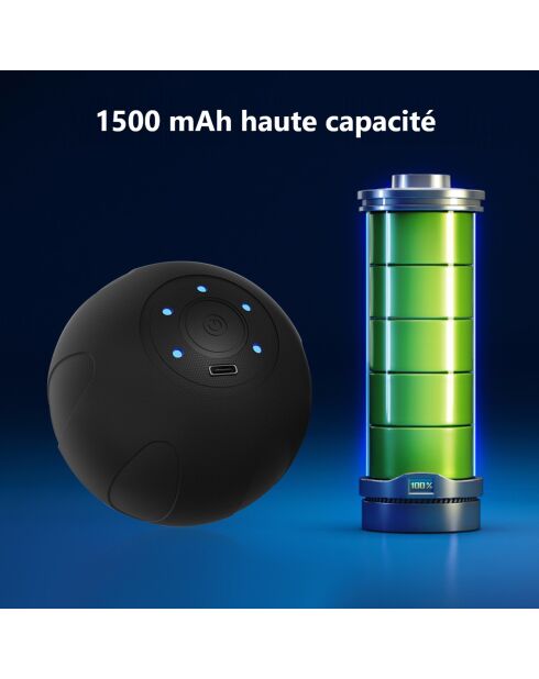 Balle de massage noire