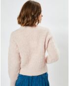 Pull en Alpaga & Mohair mélangés Lestockholm moshi