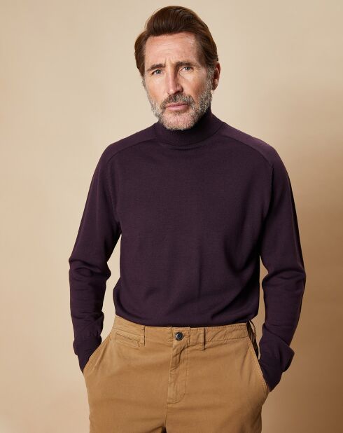 Pull 100% Laine Mérinos James cachou