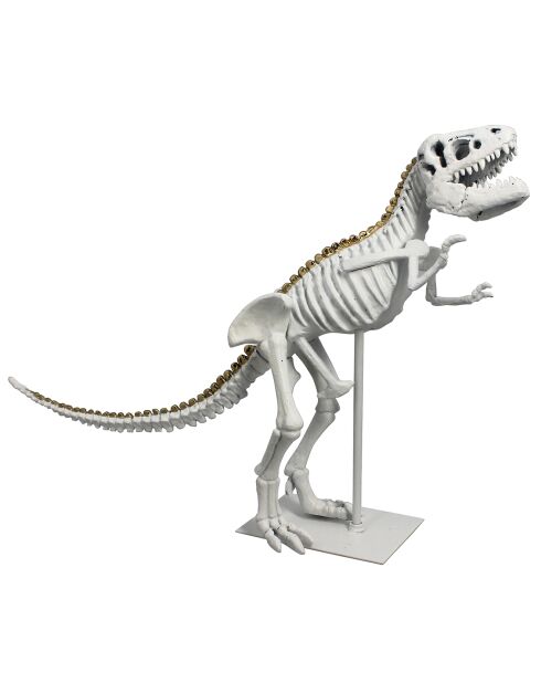 Dinosaure T-rex blanc/doré - 52x15x36 cm