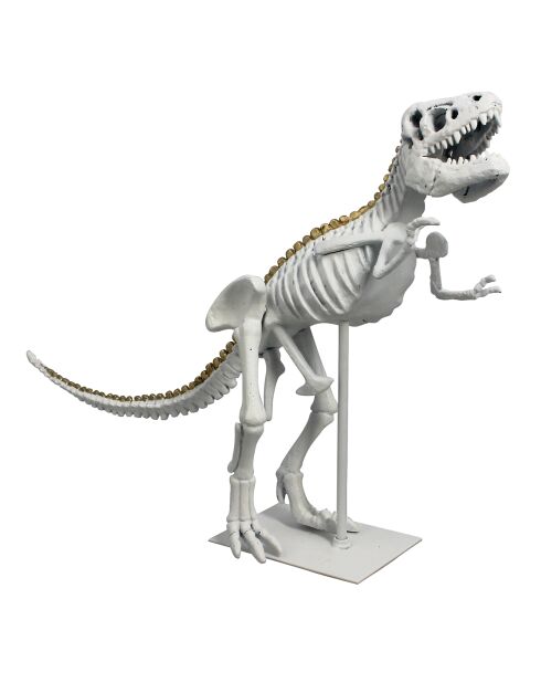 Dinosaure T-rex blanc/doré - 52x15x36 cm