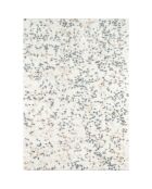 Tapis alena beige - 200x290 cm