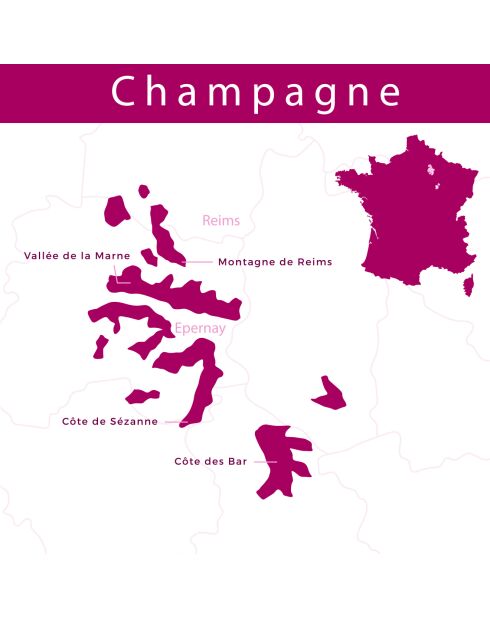 1 Champagne Brut Pinopé 2012 Devaux 75cl