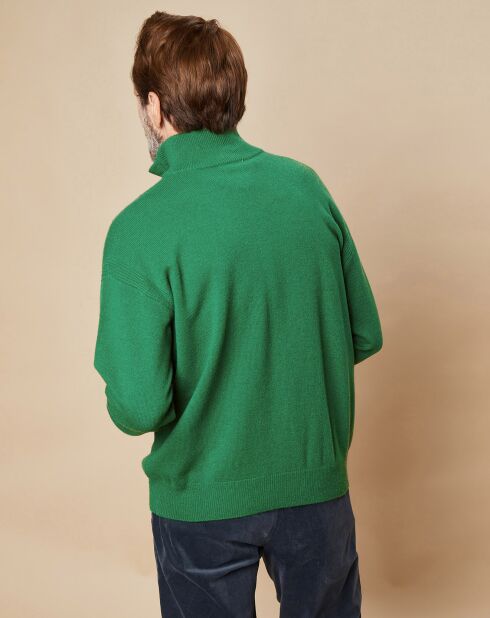 Pull 100% Laine d'Agneau Joshua chlorophylle