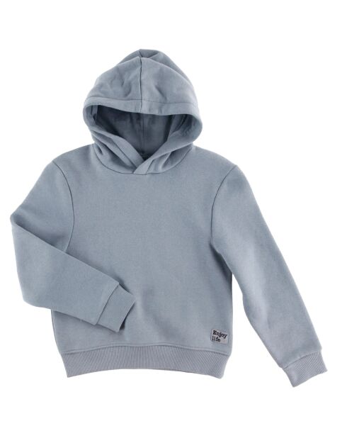 Sweat à capuche en Coton bio Voons vert de gris