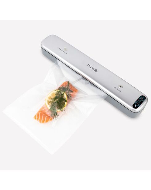 Appareil de mise sous-vide alimentaire inox/gris