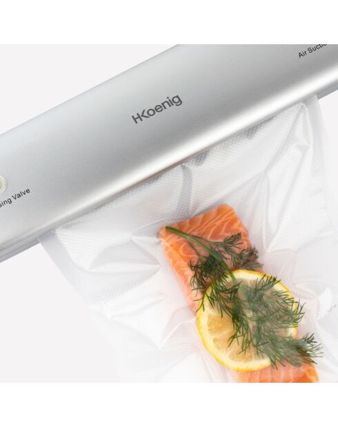 Appareil de mise sous-vide alimentaire inox/gris