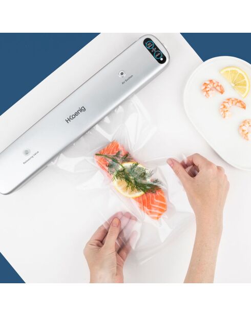Appareil de mise sous-vide alimentaire inox/gris