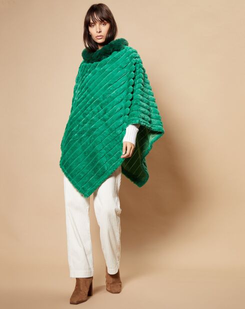 Poncho Eva vert