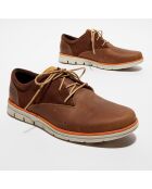 Derbies en Cuir Bradstreet marron