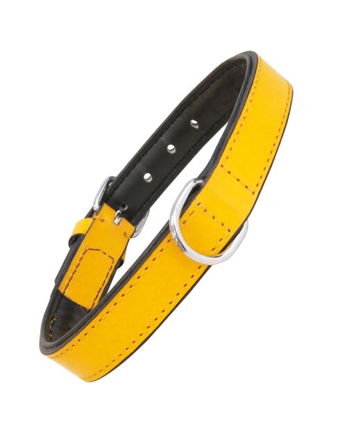 Collare per cani in pelle imbottita gialla