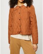 Blouson court matelassé collection EDC by Esprit camel