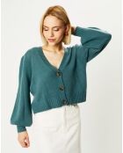 Cardigan 100% Cachemire Dimitri col V vert de gris