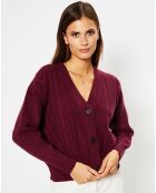 Cardigan en Laine & Cachemire Fabiola T col V bordeaux