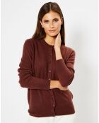 Cardigan 100% Cachemire Zacao col rond marron