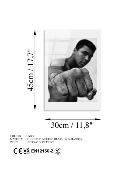 Impression sur verre Mohamed Ali multicolore - 30x45 cm