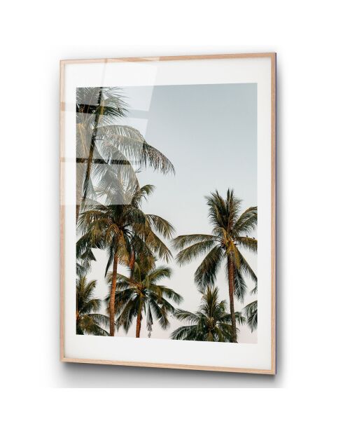 Impression sur verre Palmier multicolore - 30x45 cm