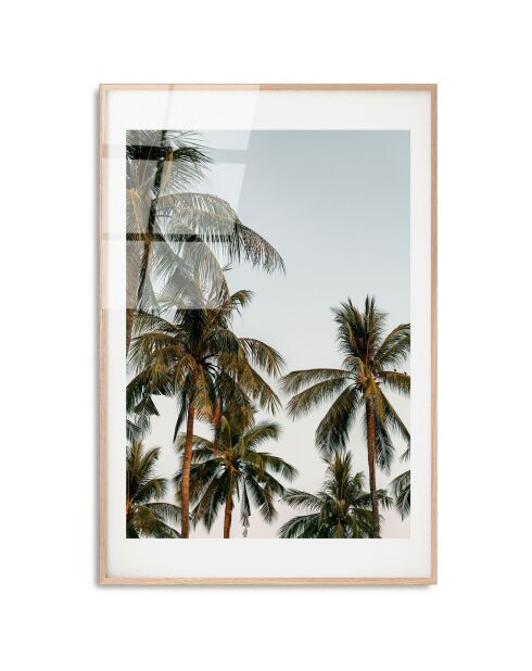 Impression sur verre Palmier multicolore - 30x45 cm