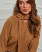 Pull Naim camel