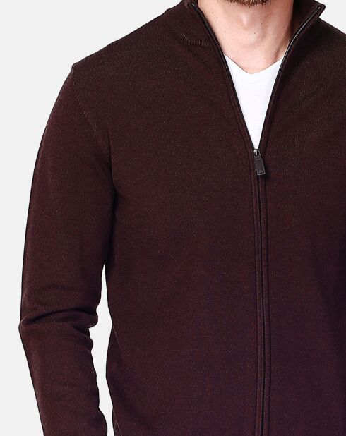 Cardigan en Cachemire mélangé Corentin café