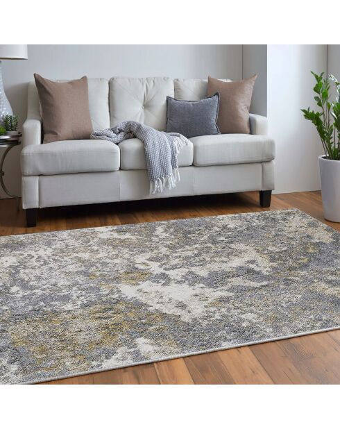 Tapis moderne gris