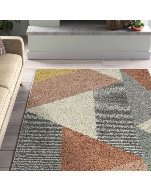 Tapis moderne multicolore