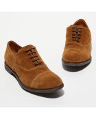 Derbies en Cuir Reno marron