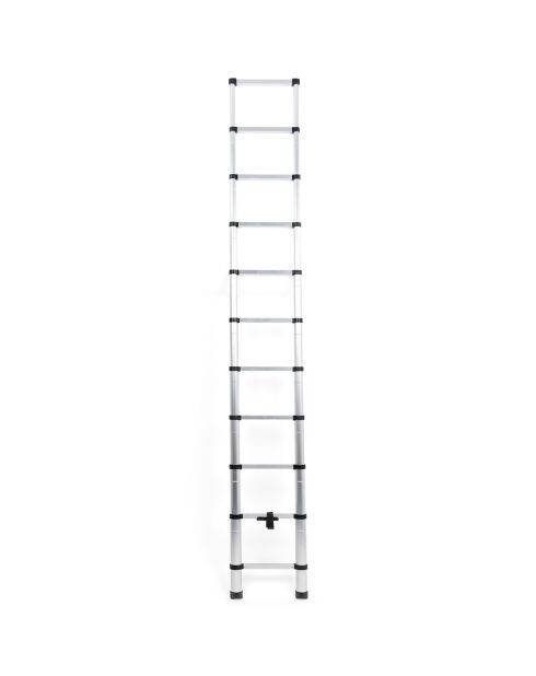 Echelle télescopique en aluminium argentée - 48x8x77 cm
