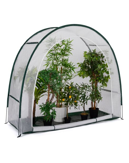 Serre d'hivernage demi-lune spéciale terrasse blanc transparent/vert - 200x80x170 cm