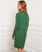 Robe en Cachemire mélangé Doumbia verte