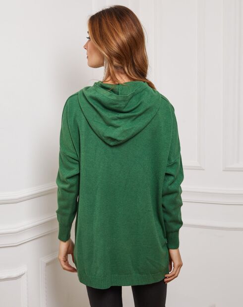 Pull en Cachemire mélangé Forja vert