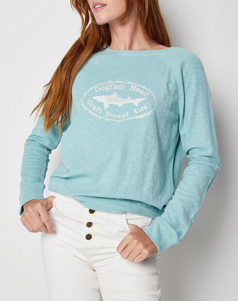 Pull Qenta lagon
