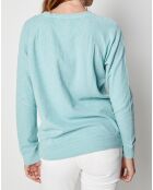 Pull Qenta lagon