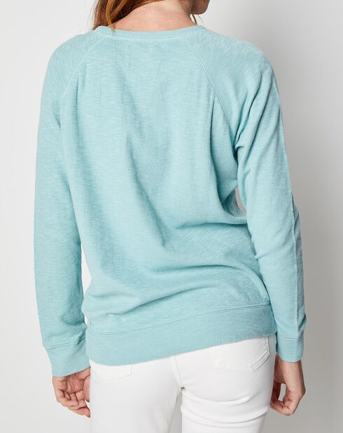 Pull Qenta lagon
