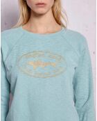 Pull Qenta lagon