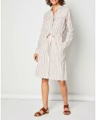 Robe Qixia rose
