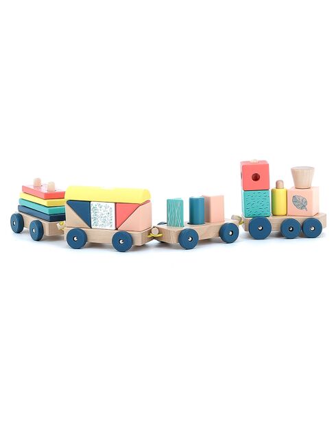Train de cubes Sous la canopée - 2 ans et +