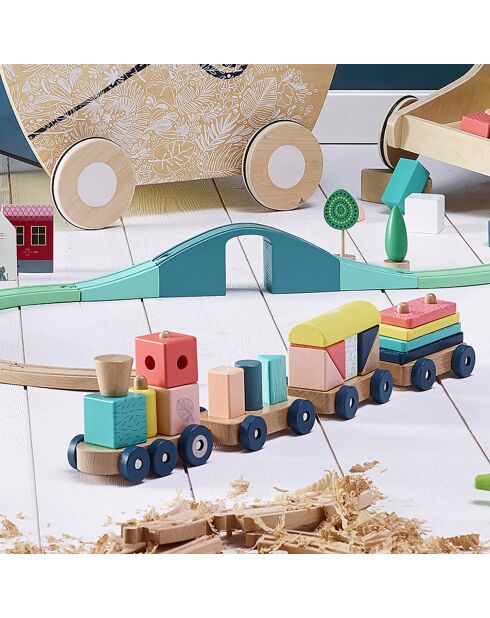 Train de cubes Sous la canopée - 2 ans et +