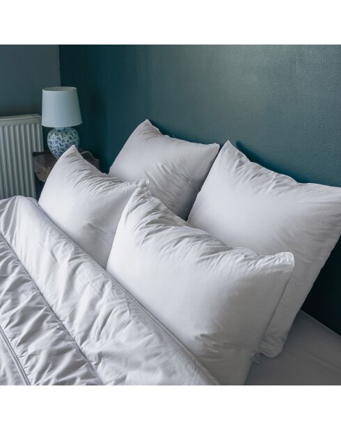 Oreiller Moelleux Anti Acariens Greenfirst  blanc
