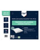 Oreiller Moelleux Anti Acariens Greenfirst  blanc