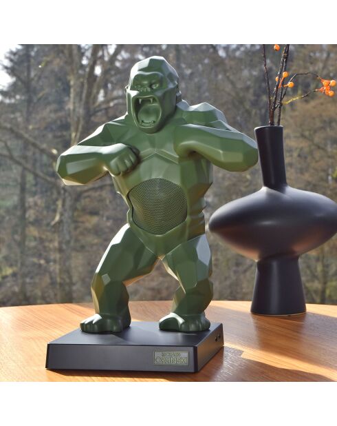 Enceinte & valise Kong kaki