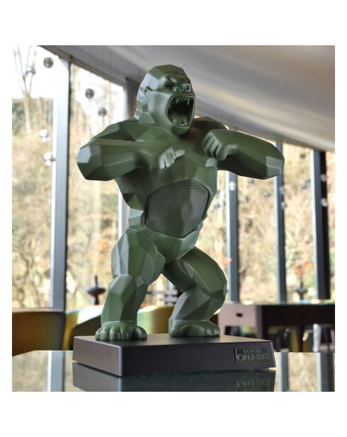 Enceinte & valise Kong kaki