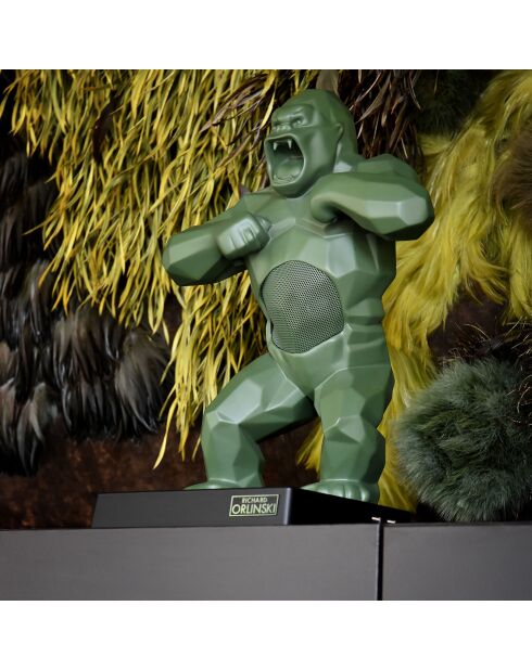 Enceinte & valise Kong kaki