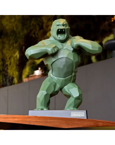 Enceinte & valise Kong kaki