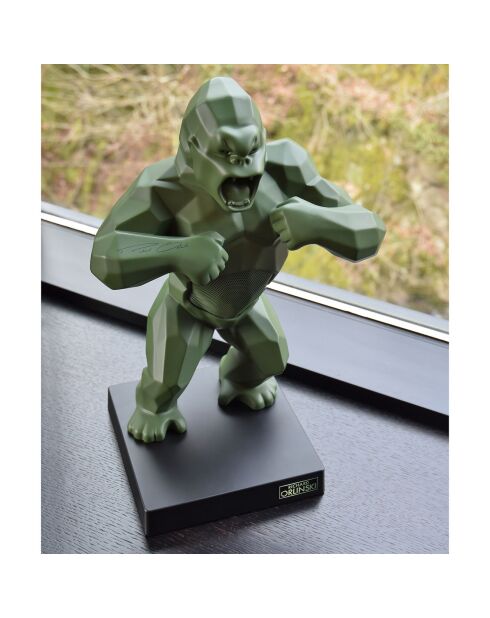 Enceinte & valise Kong kaki