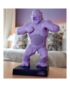 Enceinte & valise Kong parme