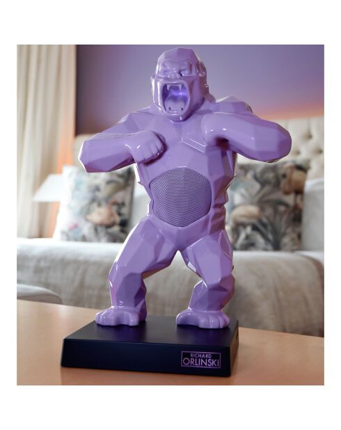 Enceinte & valise Kong parme