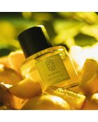 Eau de Parfum mixte Path of Lemons - 100 ml