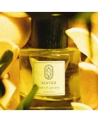 Eau de Parfum mixte Path of Lemons - 100 ml